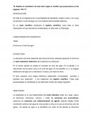 El ciclo del agua comentario