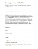 Ensayo: Los Huracanes