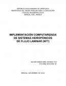 IMPLEMENTACIÓN COMPUTARIZADA DE SISTEMAS HIDROPÓNICOS