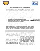 Agricultura ecologica ¿Pensamos en lo que comemos?