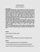 Ensayo: “Extracción de ADN”