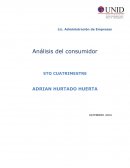 Mapa mental de segmentos de mercado.