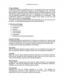 Libro de Sanitaria 1