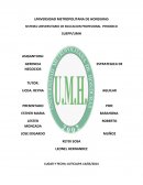 GERENCIA ESTRATEGICA DE NEGOCIOS. Caso practico AMERICAN AIRLINES