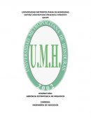 GERENCIA ESTRATEGICA DE NEGOCIOS