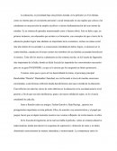 Ensayo de la película los tres idiotas.