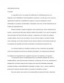 SEGURIDAD SOCIAL Conceptos