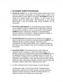 Acciones constitucionales . Apuntes