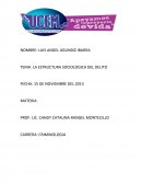 Nacimiento social del delito