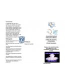 Modelo de triptico quimica polimeros