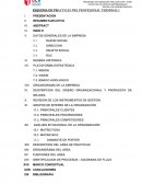 DESCRIPCION DEL DISEÑO ORGANIZACIONAL Y PROPUESTA DE MEJORA