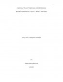 Ensayo sobre ¨inteligencia emocional¨