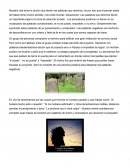 Desarrollo humano: Ensayo
