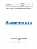 .PROGRAMA DE PROTECCION CONTRA CAIDAS