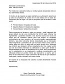 CARTA AUTORIZACION PROTOTIPO