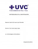 La relacion que guardan las marcas Adidas y Puma