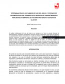 DETERMINACIÓN DE LOS CAMBIOS DE USO DEL SUELO Y PATRONES DE FRAGMENTACIÓN DEL TERRENO