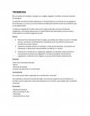 Trombosis se designa a un coágulo sanguíneo intravital e intravascularmente.