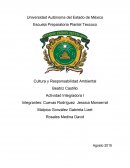 Desarrollo ambiental: Contaminación ambiental y clima