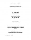 CICLO DE VIDA DEL PROYECTO.