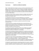 Texto Escrito FUENTES ALTERNAS DE ENERGIA