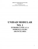 NOMENCLATURA Y CLASIFICACION ARANCELARIA