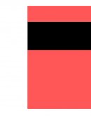 Organización. Ensayo