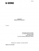 Reflexión del foro plenario 1.