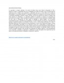 SEGURIDAD INDUSTRIAL.