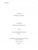 Dimensiones y entornos..