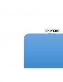 Levantamiento Indígena.