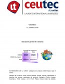 EXTENSIONES DE LA LINEA. Categoría de producto determinada, bajo el mismo