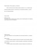 Célula, organelos y sus funciones