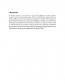 Servicio Social es una forma en que los estudiantes de nivel superior pueden lograr una retroalimentación