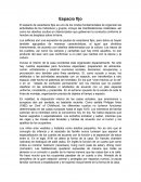 ESPACIO FIJO Y SEMIFIJOS