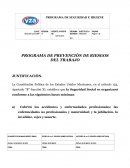 PROGRAMA DE PREVENCIÓN DE RIESGOS DEL TRABAJO