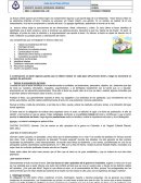 La lectura crítica supone que el lector logre una comprensión rigurosa y que aporte algo de sí al interpretar. Hacer lectura crítica no es solamente entender el texto.