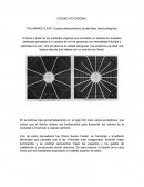 Utopia,radiocentrismo,ciudad idea, ideal,octogonal