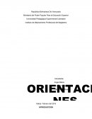 Orientaciones pedagogicas 2012 2013.