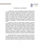 INTRODUCCIÓN A LA ANATOMIA