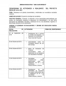 Maceteros con plantas ornamentales y medicinales con neumáticos reciclados creativos