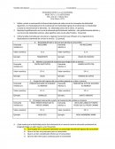 INTRODUCCIÓN A LA ECONOMÍA PRÁCTICA 3. ELASTICIDAD