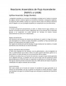 RAFA Reactor Anaerobio de Flujo Ascendente