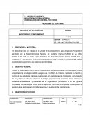 Programa de auditoria informatica