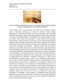 ES ESTA OBRE UNA REPRESENTACIÓN DE LA RELACIÓN QUE TURNER PECRIBIÓ ENTRE LA NATURALEZA Y LA INDUSTRAILIZACIÓN?