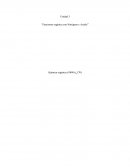 Respuestas a preguntas quimica organica