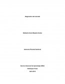 Diagnostico del mecado