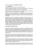 Área: 200 Hectáreas Sembradas con un total de 10.000 árboles. Con una edad de 2 años de sembrados. El proyecto es llegar a los 25.000 Arboles.