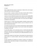 Psicología E1A La muerte