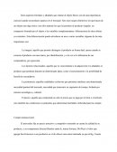 El precio: aquello que comprende no sólo el precio que se paga por el bien o el artículo, sino también las condiciones coyunturales que determinan facilidad o dificultad para la compra.